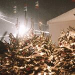 Desember: En Måneds Magi og Tradisjoner