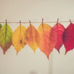 September: En måned fylt med forandring og refleksjon